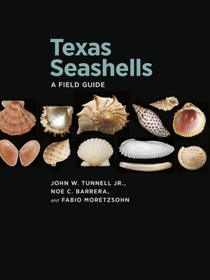 cover image of Texas Seashells